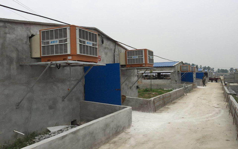 一定要關(guān)注！今天正式拉開瑞昌2016養(yǎng)豬場(chǎng)通風(fēng)降溫旺季序幕！